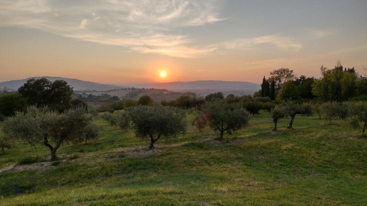 La Maggiolina Country House Montelabbate Luaran gambar