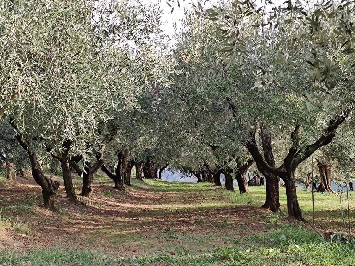 La Maggiolina Country House Montelabbate Luaran gambar